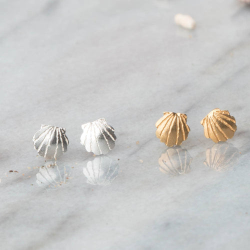 Clamshell Stud Earrings