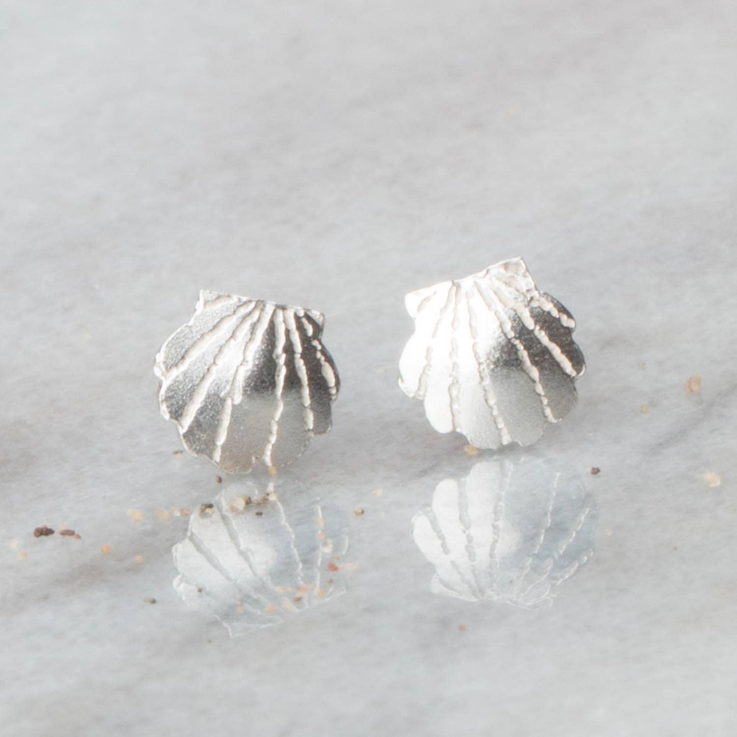 Clamshell Stud Earrings